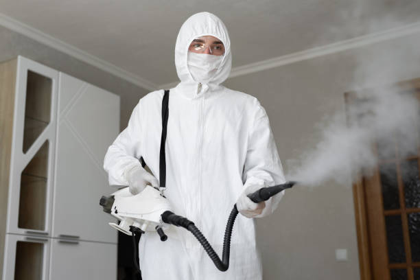 Mold Remediation for Vacation Homes in South Holland, IL